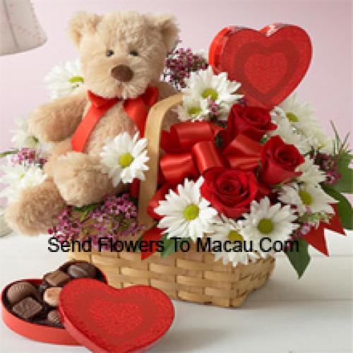 Rosas y Gerberas con Peluche y Chocolates