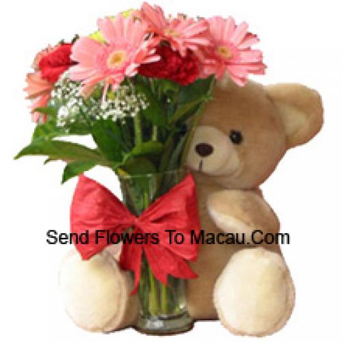 11 Red Carnations and Pink Gerberas with Teddy