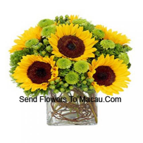 Pretty Sunflowers in Vase