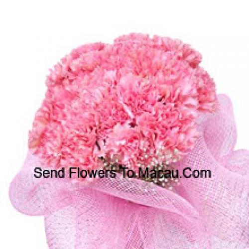 Cute 25 Pink Carnations