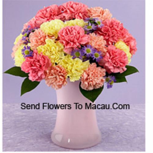 25 Mixed Carnations