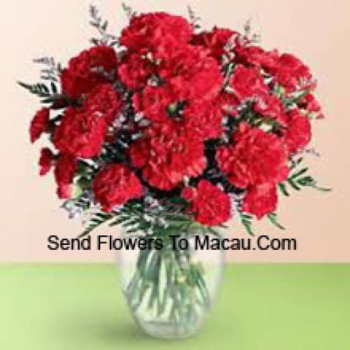 37 Red Cute Carnations