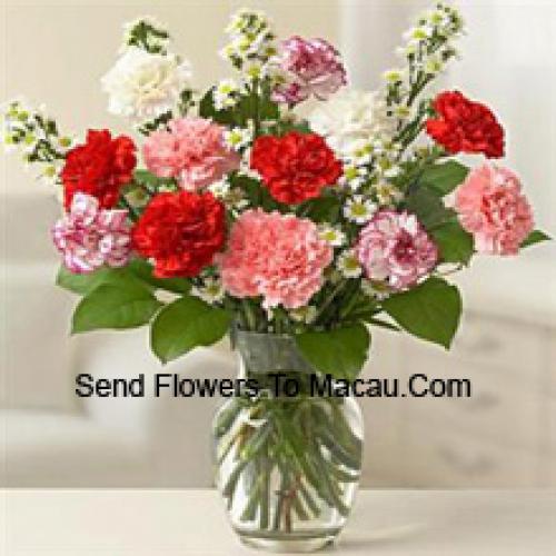 Cute 11 Mixed Carnations