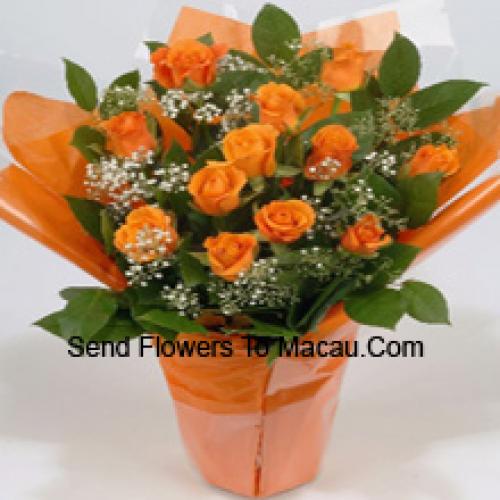 19 Cute Orange Roses