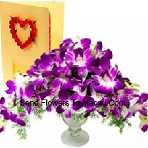 Cute Exclusive Orchids