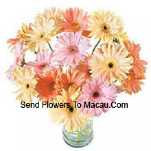 25 Gerberas Variadas Chiques