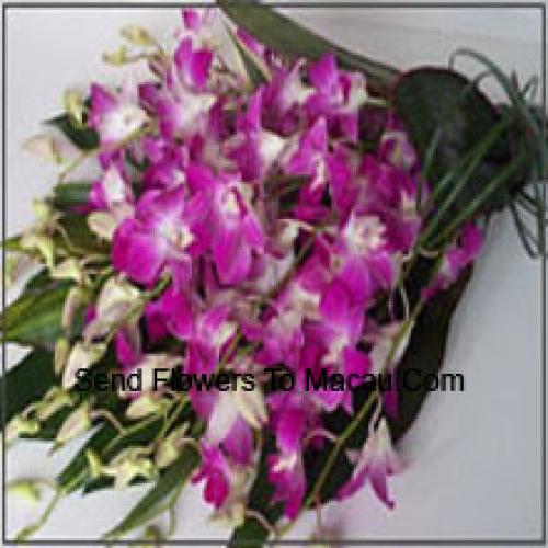 Cute Orchids Bunch