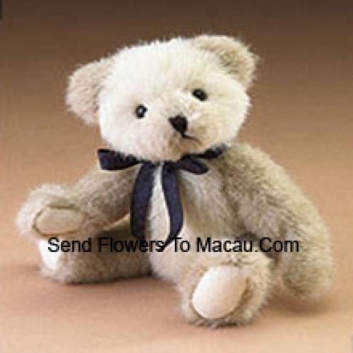 Een schattige witte teddybeer van 6 inch