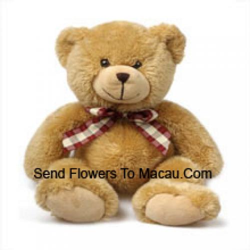 Lieve 12 Inch Teddybeer