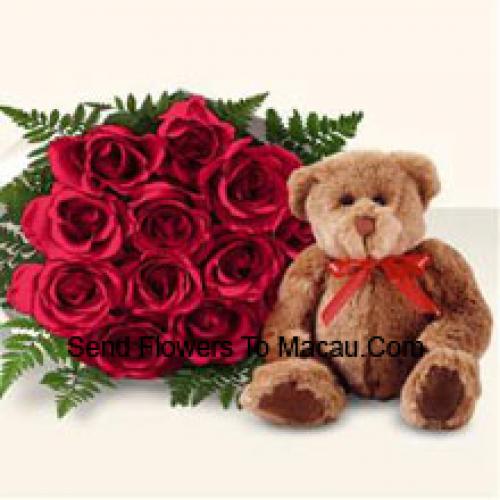 11 Rosas Vermelhas com Lindo Urso Marrom